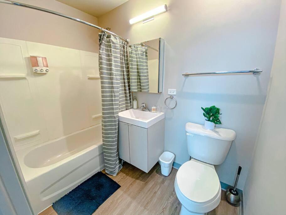 Modern 2Br In South Loop Near Soldier Field, Grant Park, Downtown, & Lakefront Trail Chicago Exterior photo